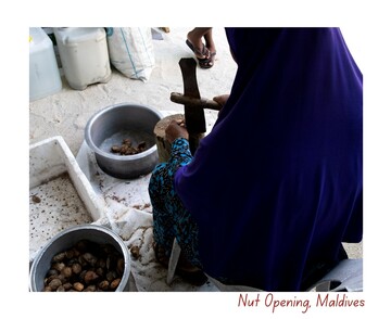 Nut Opening, Maldives