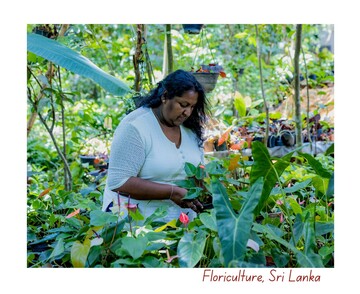 Floriculture Sri Lanka