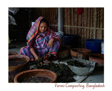 Vermi-Composting, Bangladesh