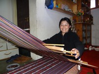 Case Studies from Bhutan